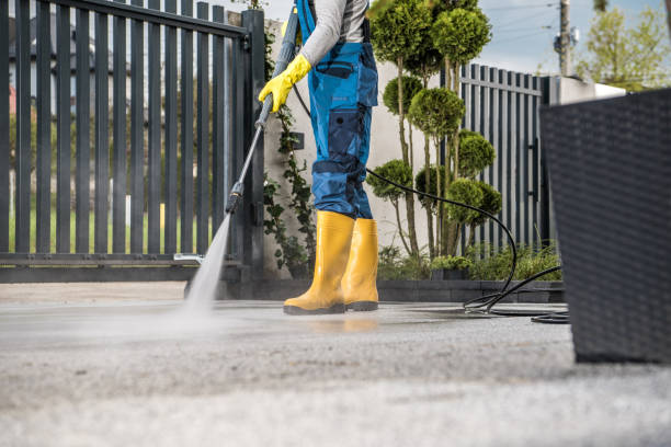 Best Patio and Deck Pressure Washing  in Dundee, OR